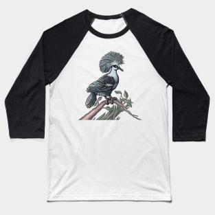 Fancy Bird (Western Crowned  Pigeon) Baseball T-Shirt